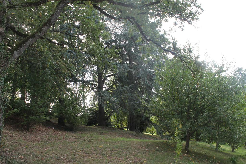 Les Chambres D'Hotes Du Rouyre Réalmont Εξωτερικό φωτογραφία